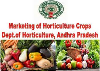 Department of Horticulture Andhra Pradesh