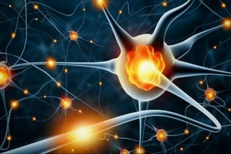 cannabis neurogenesis
